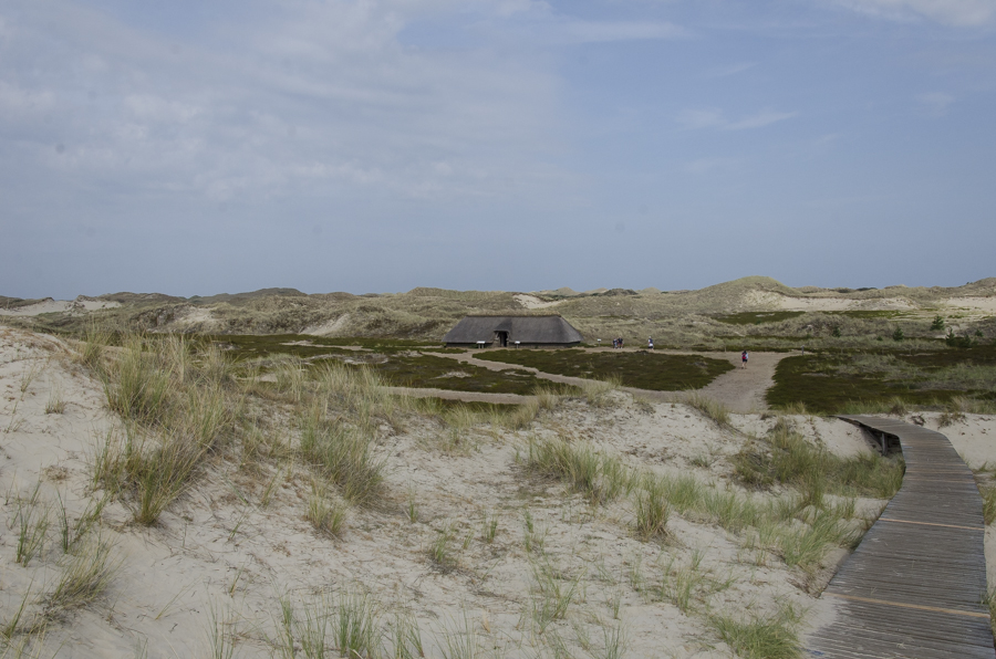 Amrum Eisentzeit2 2